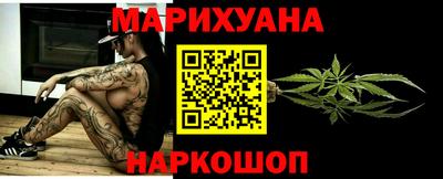 сатива Будённовск