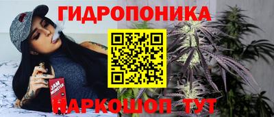 индика Бузулук