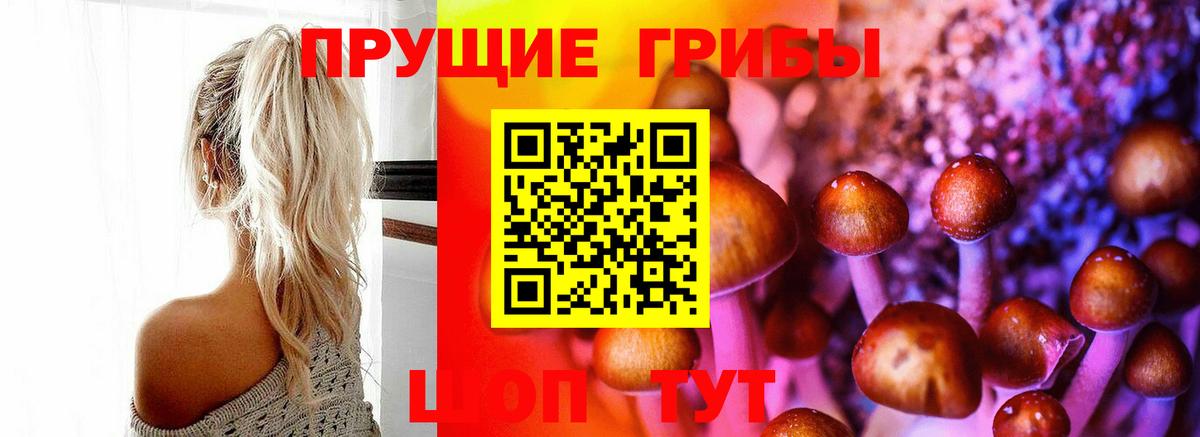 Галлюциногенные грибы прущие грибы Нефтеюганск