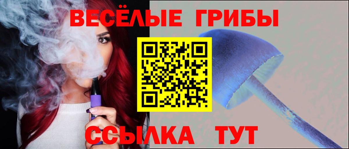 Псилоцибиновые грибы Psilocybe  Псилоцибиновые грибы GOLDEN TEACHER  Вход с VPN  купить наркоту  Нефтеюганск 